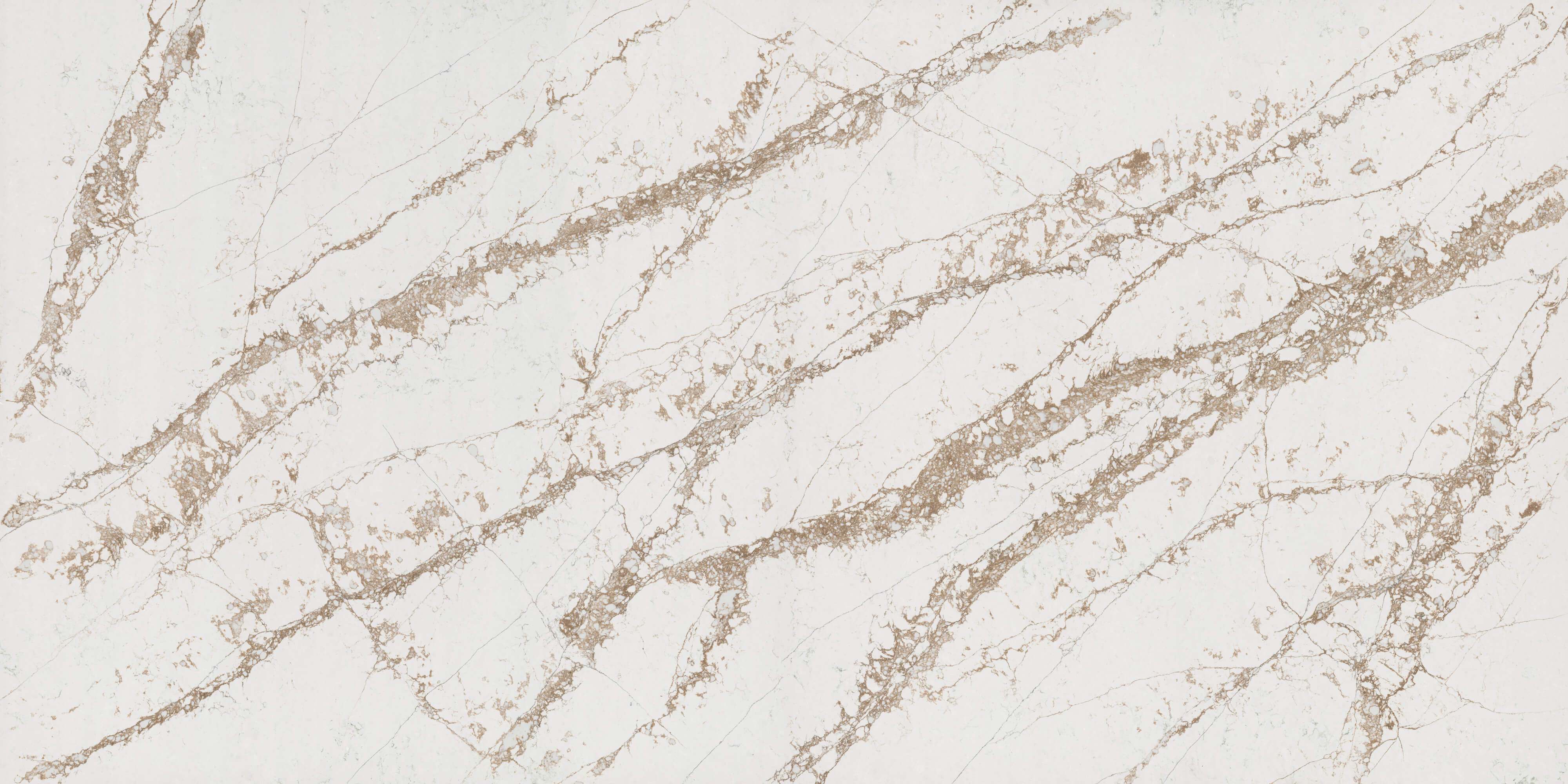 Bronze Coast Polerad