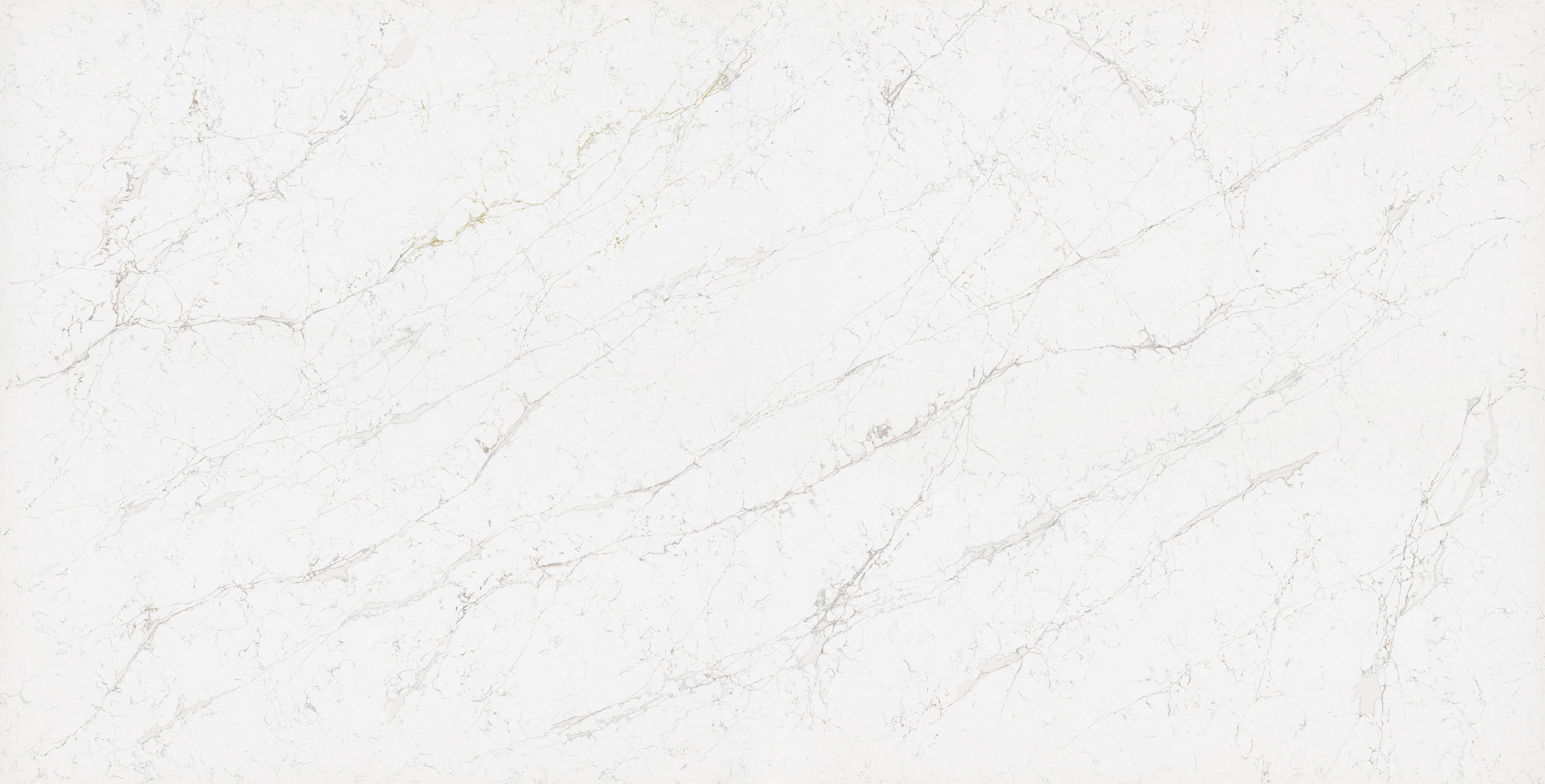 Calacatta Olympos Polerad