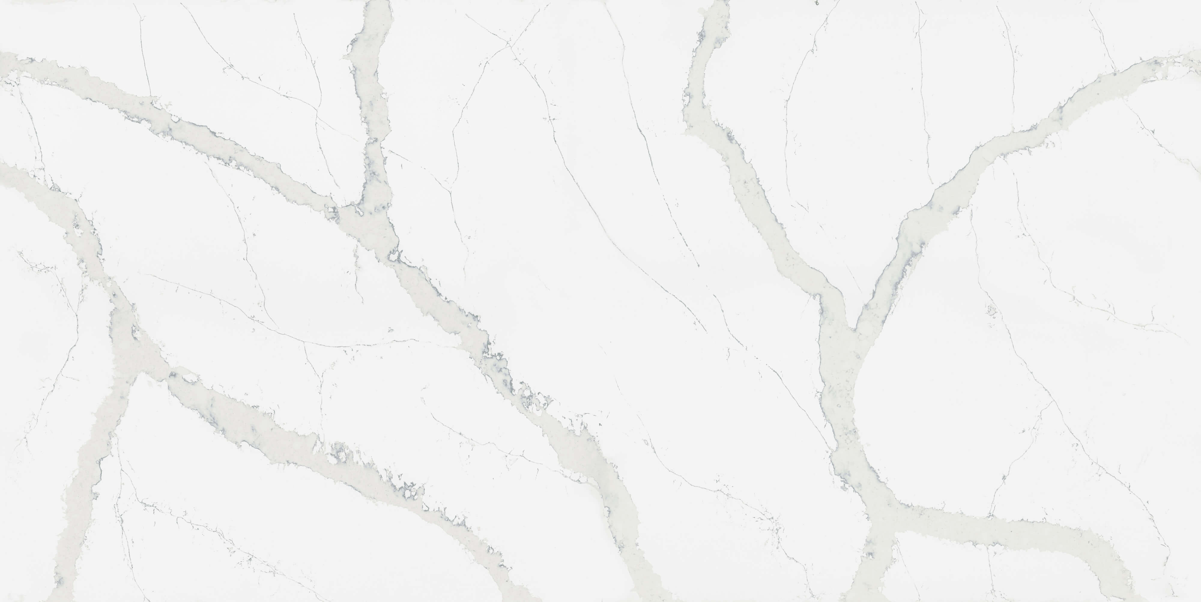 Calacatta Pastino Polerad