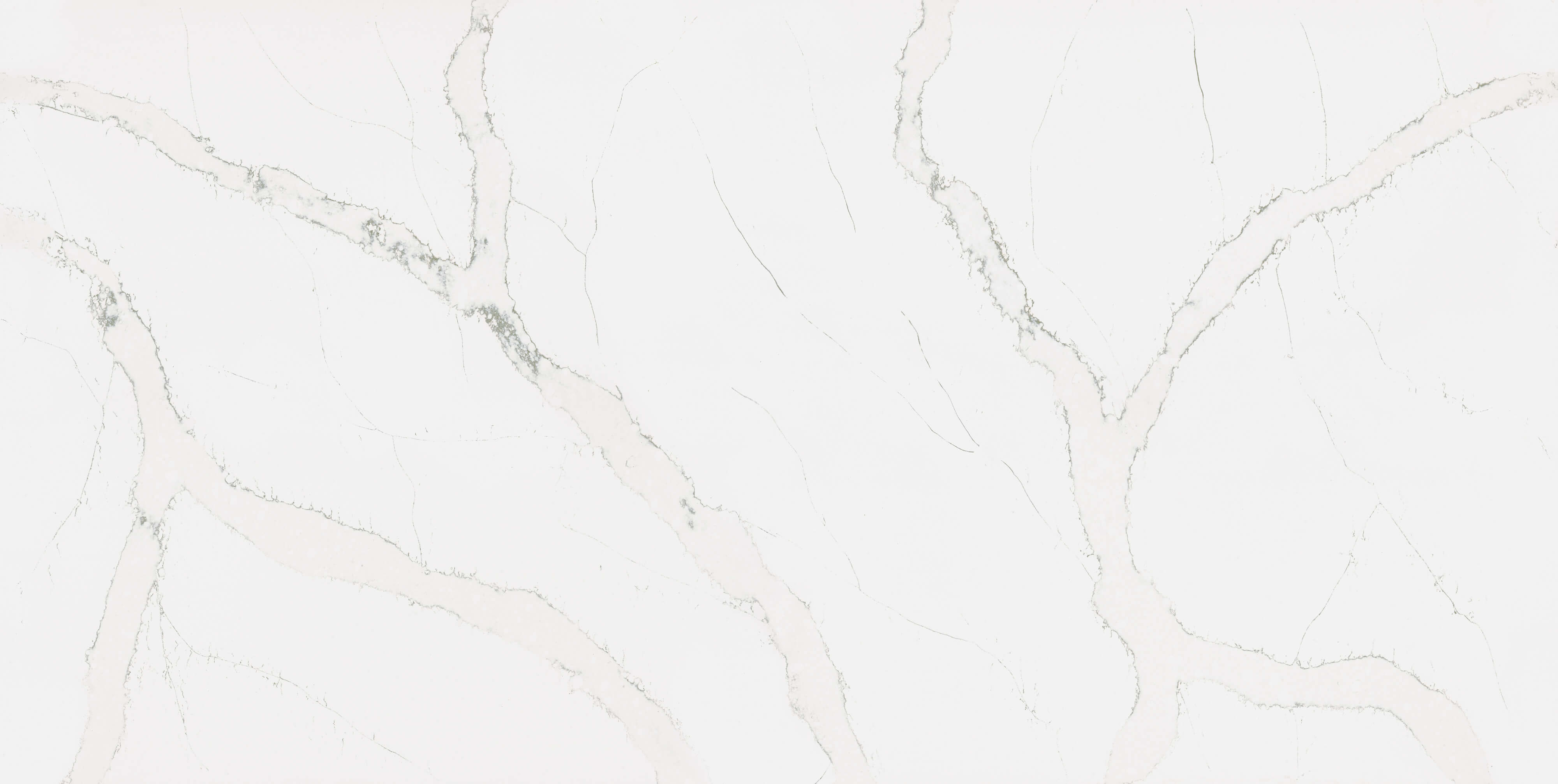 Calacatta Serchio Polerad