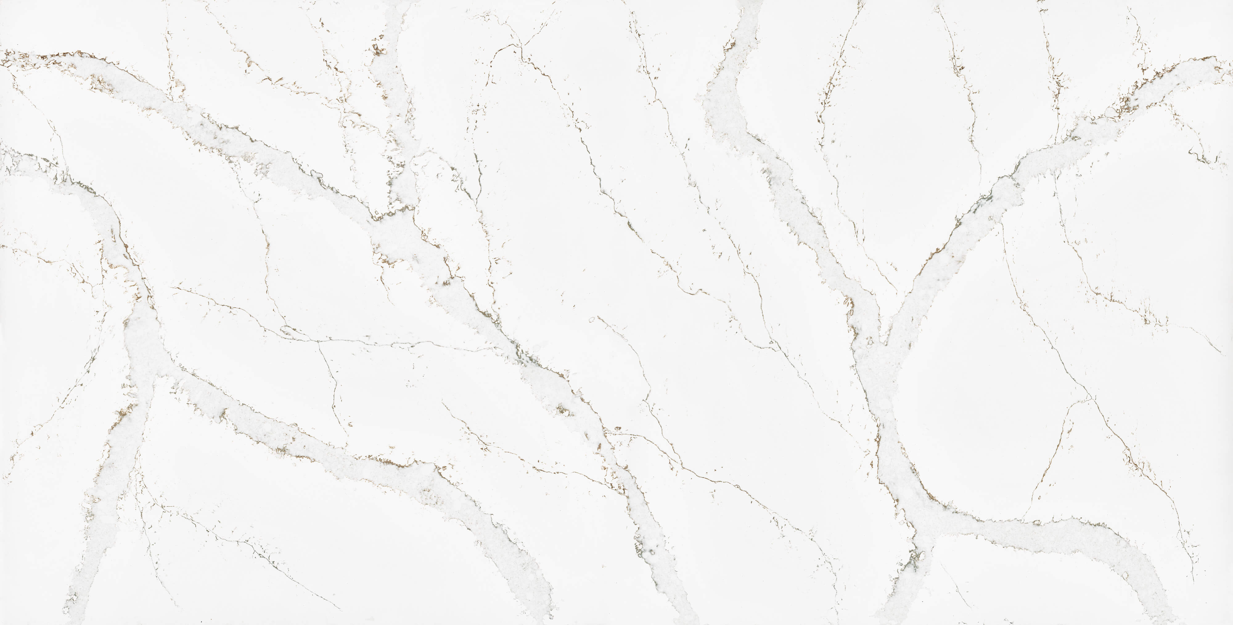 Calacatta Volegno Polerad